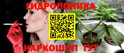 винт Сланцы