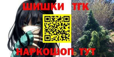 винт Сланцы