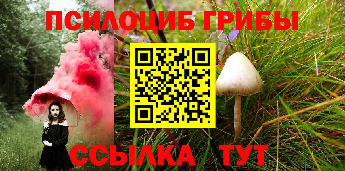 Нижнеудинск  Галлюциногенные грибы Cubensis  Вход с VPN  Псилоцибиновые грибы Psilocybe 